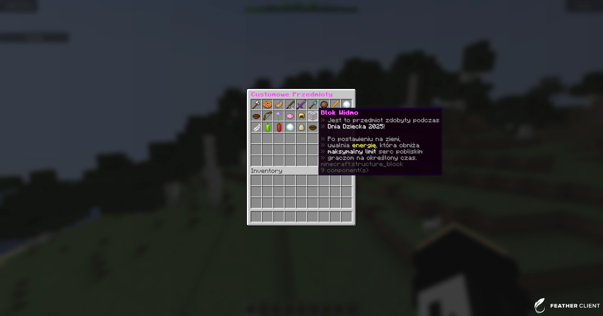 Minecraft plugin na customowe itemy - codepack
