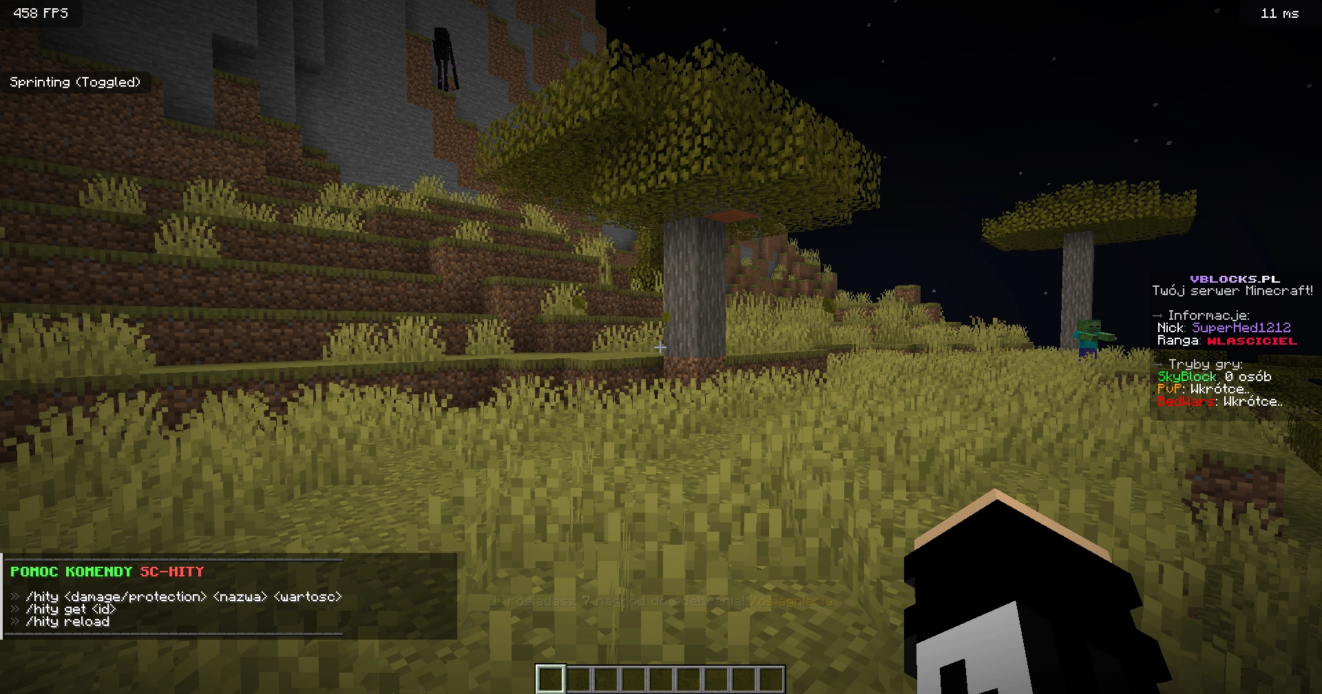 Minecraft plugin na customowe hity - codepack