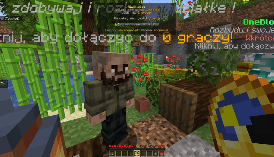 Minecraft wykonanie trybu lobby - codepack